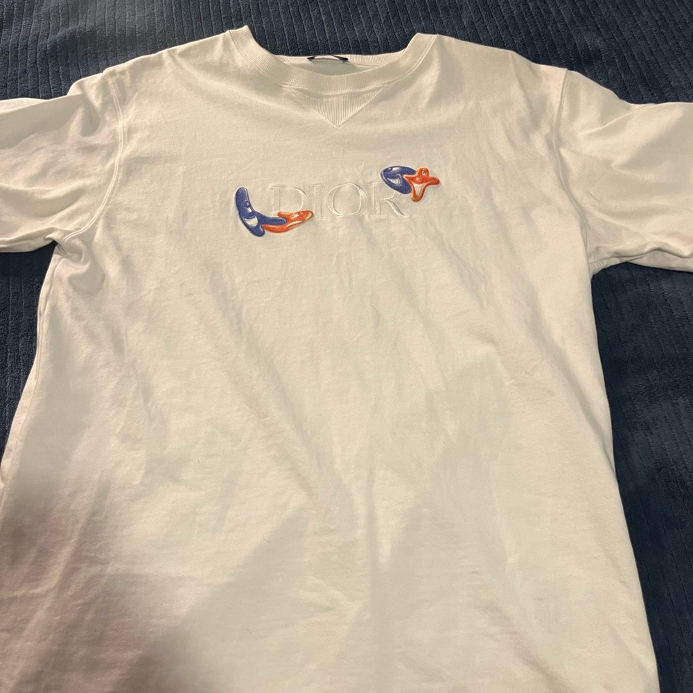 Dior X Kenny schraf shirt